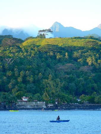 2- Cote nord de Tahiti 